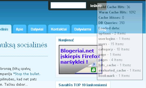 blogeriai-net-optimizavimas